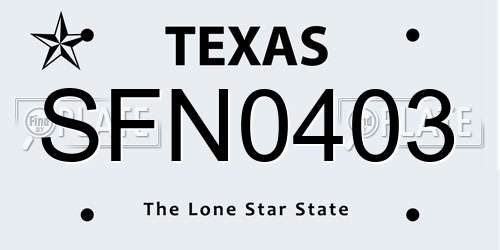 SFN0403 Texas License Plate