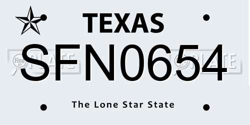 SFN0654 Texas License Plate
