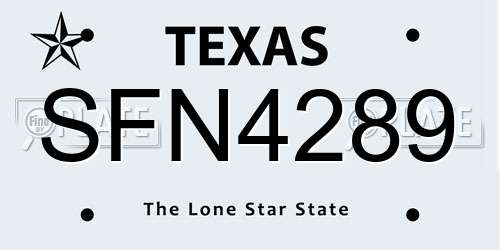 SFN4289 Texas License Plate
