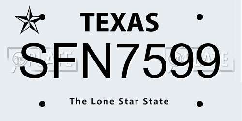 SFN7599 Texas License Plate