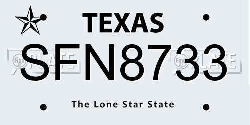 SFN8733 Texas License Plate