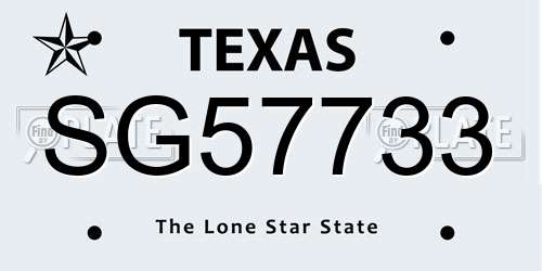 SG57733 Texas License Plate