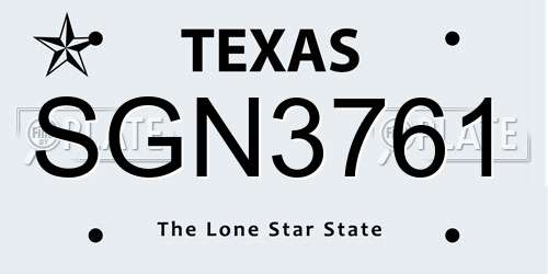 SGN3761 Texas License Plate