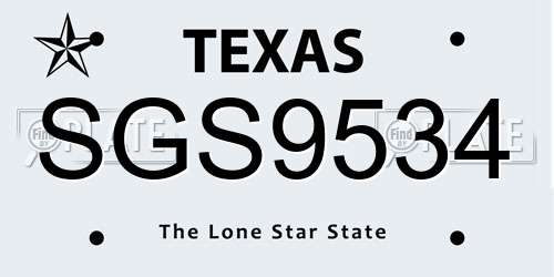 SGS9534 Texas License Plate
