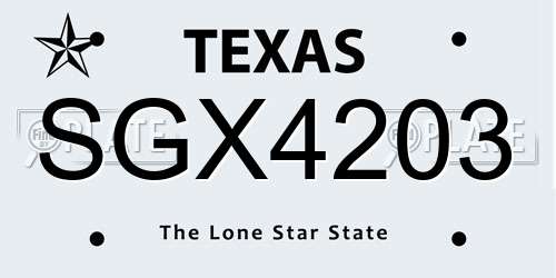 SGX4203 Texas License Plate