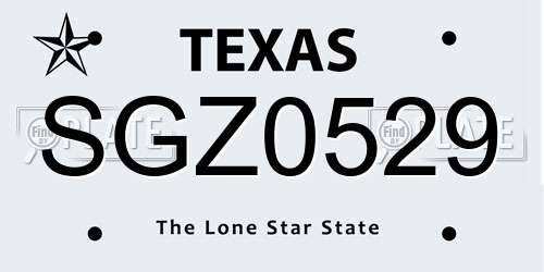 SGZ0529 Texas License Plate