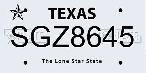 SGZ8645 Texas License Plate