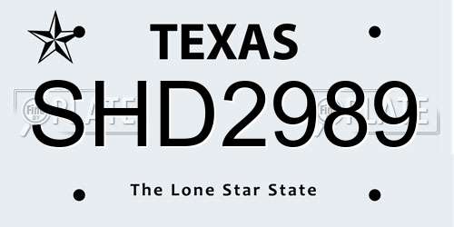 SHD2989 Texas License Plate