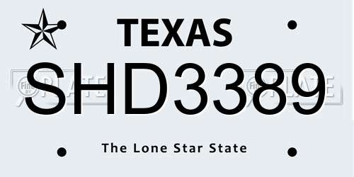 SHD3389 Texas License Plate