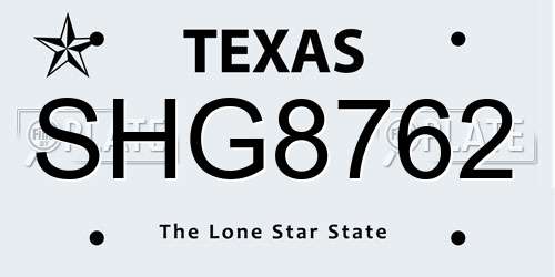 SHG8762 Texas License Plate