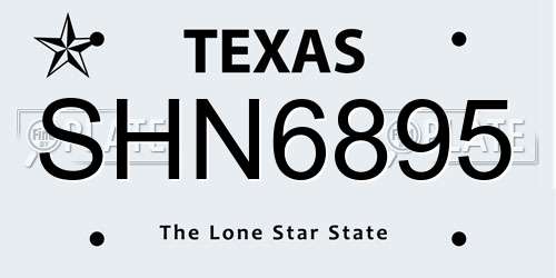 SHN6895 Texas License Plate