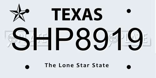 SHP8919 Texas License Plate