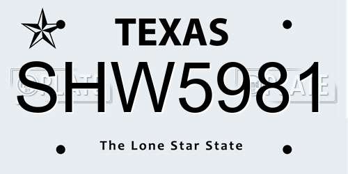 SHW5981 Texas License Plate