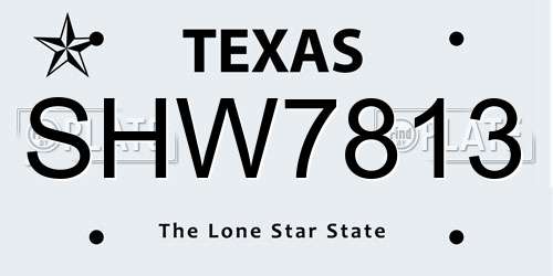 SHW7813 Texas License Plate