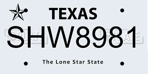 SHW8981 Texas License Plate