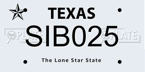 SIB025 Texas License Plate