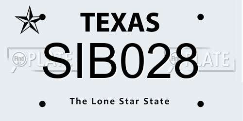 SIB028 Texas License Plate