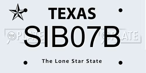 SIB07B Texas License Plate