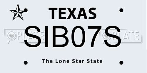 SIB07S Texas License Plate