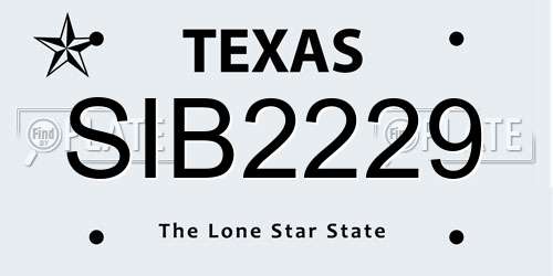 SIB2229 Texas License Plate