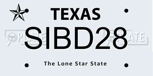 SIBD28 Texas License Plate