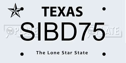 SIBD75 Texas License Plate