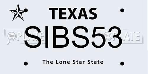 SIBS53 Texas License Plate