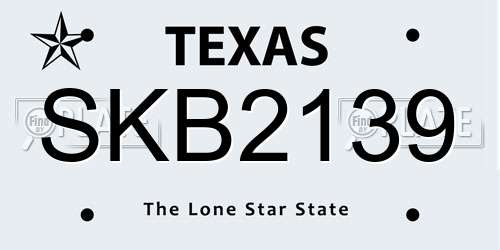 SKB2139 Texas License Plate
