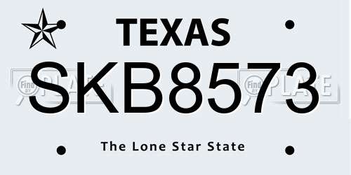 SKB8573 Texas License Plate
