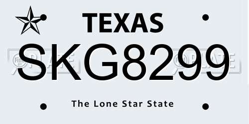 SKG8299 Texas License Plate