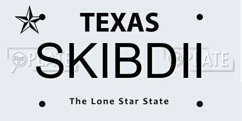 SKIBDII Texas License Plate