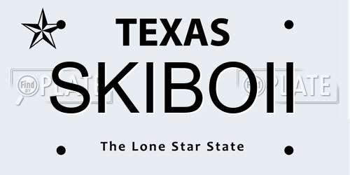 SKIBOII Texas License Plate