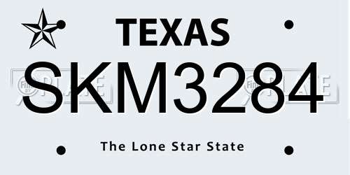 SKM3284 Texas License Plate
