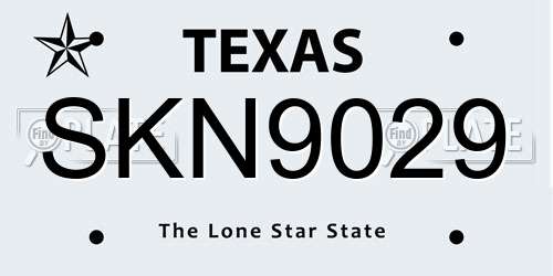 SKN9029 Texas License Plate