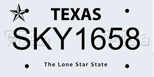 SKY1658 Texas License Plate