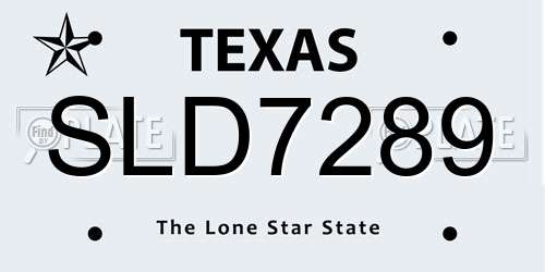 SLD7289 Texas License Plate