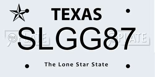SLGG87 Texas License Plate