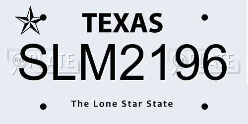 SLM2196 Texas License Plate