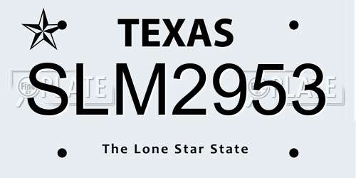 SLM2953 Texas License Plate