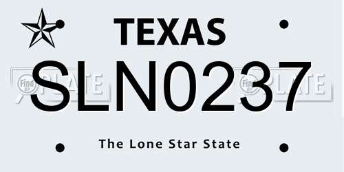 SLN0237 Texas License Plate