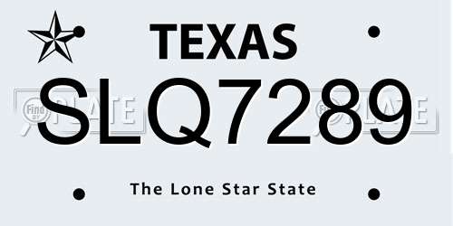 SLQ7289 Texas License Plate