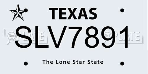 SLV7891 Texas License Plate