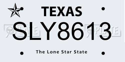 SLY8613 Texas License Plate