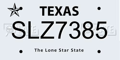 SLZ7385 Texas License Plate