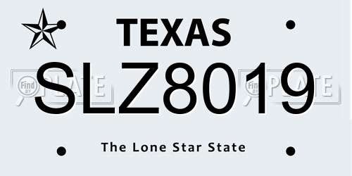 SLZ8019 Texas License Plate