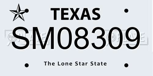 SM08309 Texas License Plate