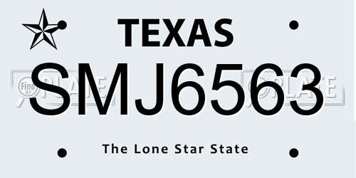 SMJ6563 Texas License Plate