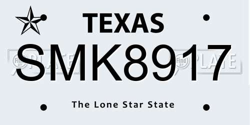 SMK8917 Texas License Plate