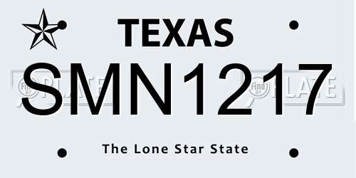 SMN1217 Texas License Plate