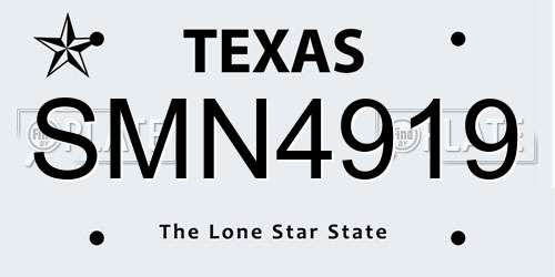 SMN4919 Texas License Plate